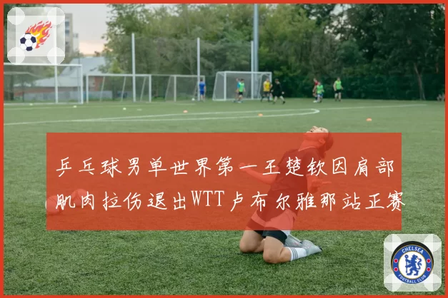 乒乓球男单世界第一王楚钦因肩部肌肉拉伤退出WTT卢布尔雅那站正赛