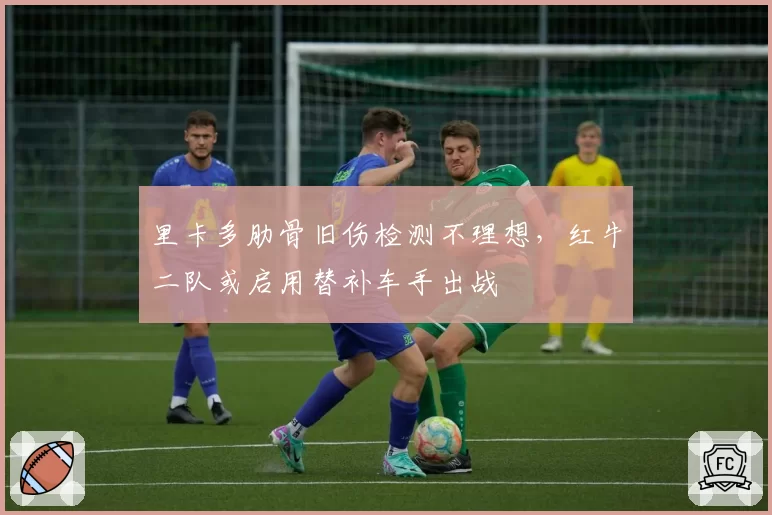 里卡多肋骨旧伤检测不理想，红牛二队或启用替补车手出战